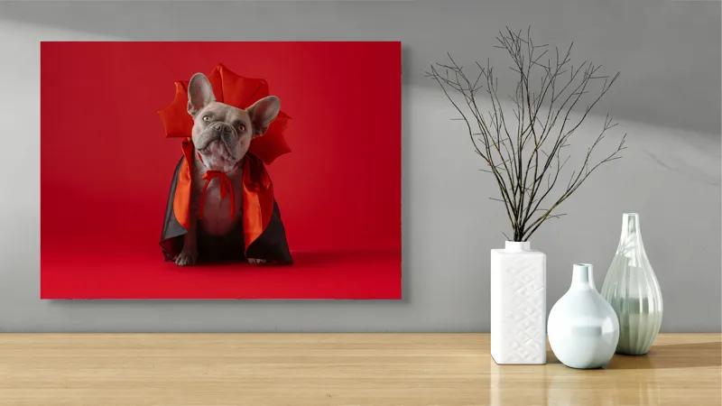 Tablou Canvas, "Bulldog gotic în mantie roșie", Scenă, Câine, Costum, Halloween, Fundal, Roșu, Pelerină, Aripi, Dracula, Drăgălaș., 70 x 50 cm – poza 3
