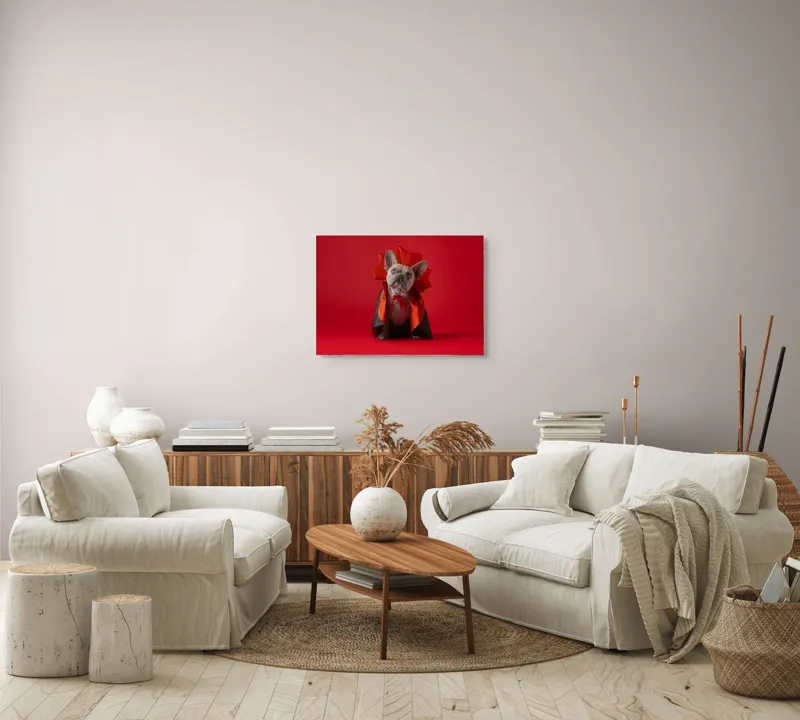 Tablou Canvas, "Bulldog gotic în mantie roșie", Scenă, Câine, Costum, Halloween, Fundal, Roșu, Pelerină, Aripi, Dracula, Drăgălaș., 70 x 50 cm – poza 6