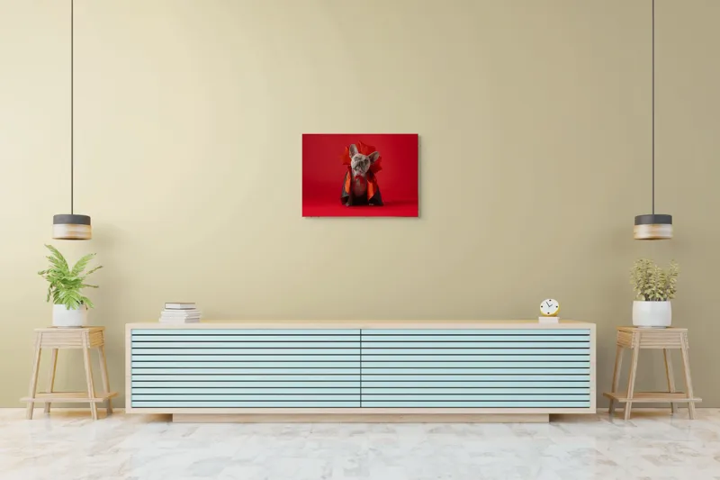 Tablou Canvas, "Bulldog gotic în mantie roșie", Scenă, Câine, Costum, Halloween, Fundal, Roșu, Pelerină, Aripi, Dracula, Drăgălaș., 70 x 50 cm – poza 7