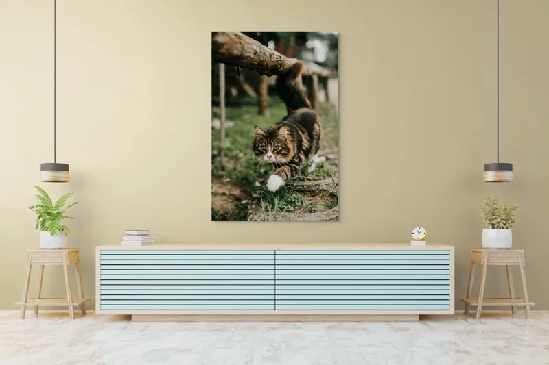 Tablou Canvas, "Motanul explorator în grădină verde", Felină, Blană, Verdeață, Natural, Eleganță, Curiozitate, Mustăți, Lăbuțe, Privire, Explorare, 100 x 150 cm – poza 4