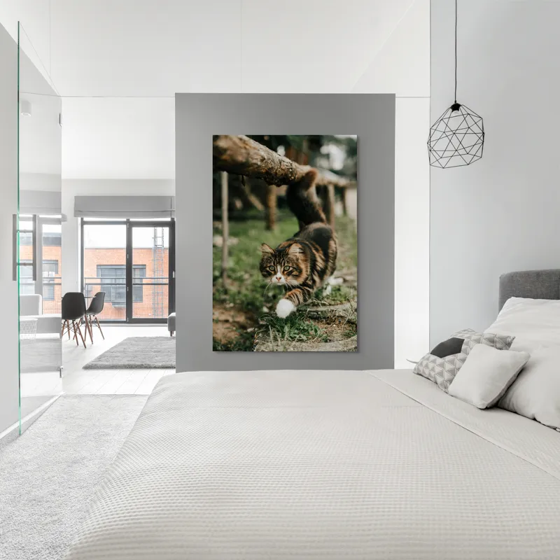 Tablou Canvas, "Motanul explorator în grădină verde", Felină, Blană, Verdeață, Natural, Eleganță, Curiozitate, Mustăți, Lăbuțe, Privire, Explorare, 100 x 150 cm – poza 5