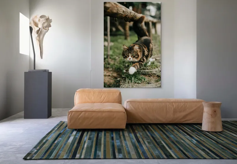 Tablou Canvas, "Motanul explorator în grădină verde", Felină, Blană, Verdeață, Natural, Eleganță, Curiozitate, Mustăți, Lăbuțe, Privire, Explorare, 100 x 150 cm – poza 7