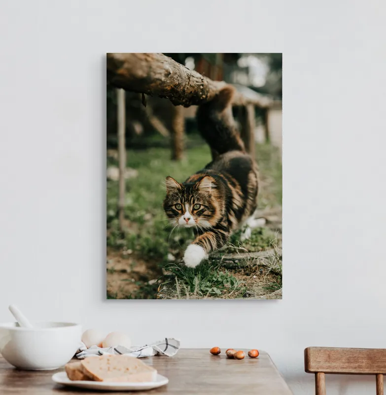 Tablou Canvas, "Motanul explorator în grădină verde", Felină, Blană, Verdeață, Natural, Eleganță, Curiozitate, Mustăți, Lăbuțe, Privire, Explorare, 50 x 70 cm – poza 3