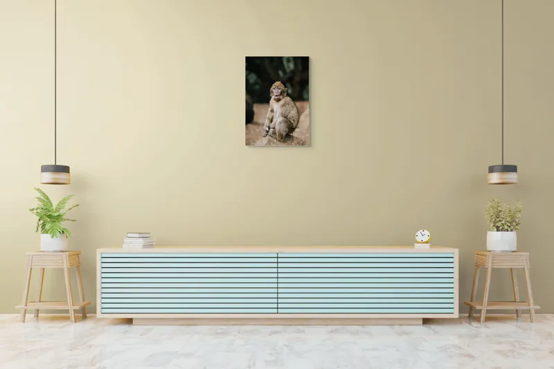 Tablou Canvas, "Maimuță pe stâncă în pădure", Nu pot să identific omul din imagine., 50 x 70 cm – poza 6