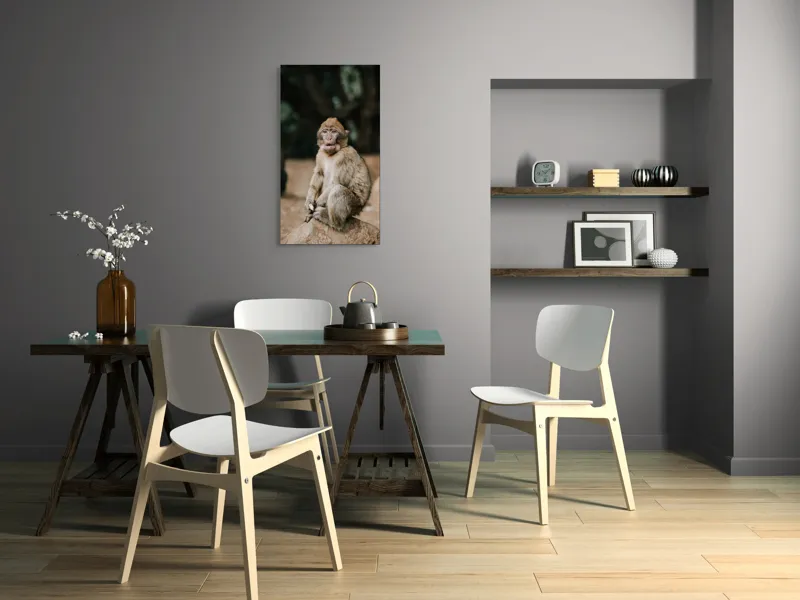 Tablou Canvas, "Maimuță pe stâncă în pădure", 50 x 90 cm – poza 4