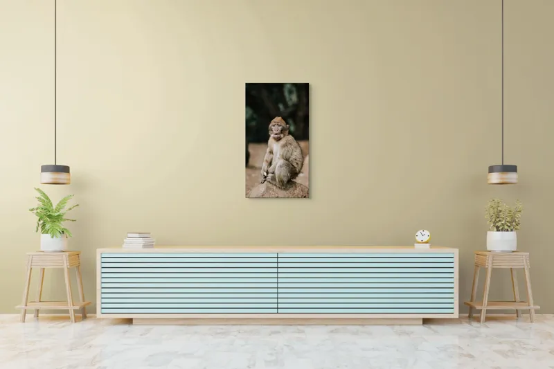 Tablou Canvas, "Maimuță pe stâncă în pădure", 50 x 90 cm – poza 6