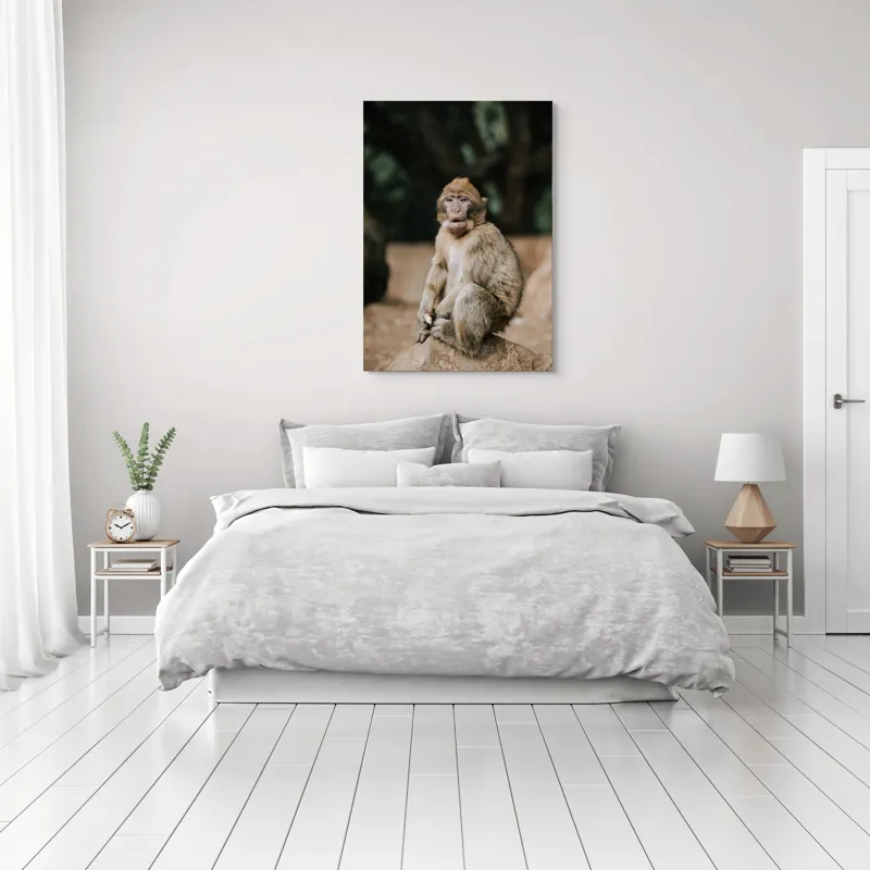 Tablou Canvas, "Maimuță pe stâncă în pădure", Nu pot să identific omul din imagine., 70 x 100 cm – poza 3