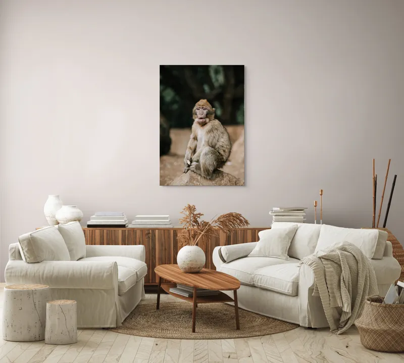 Tablou Canvas, "Maimuță pe stâncă în pădure", Nu pot să identific omul din imagine., 70 x 100 cm – poza 4