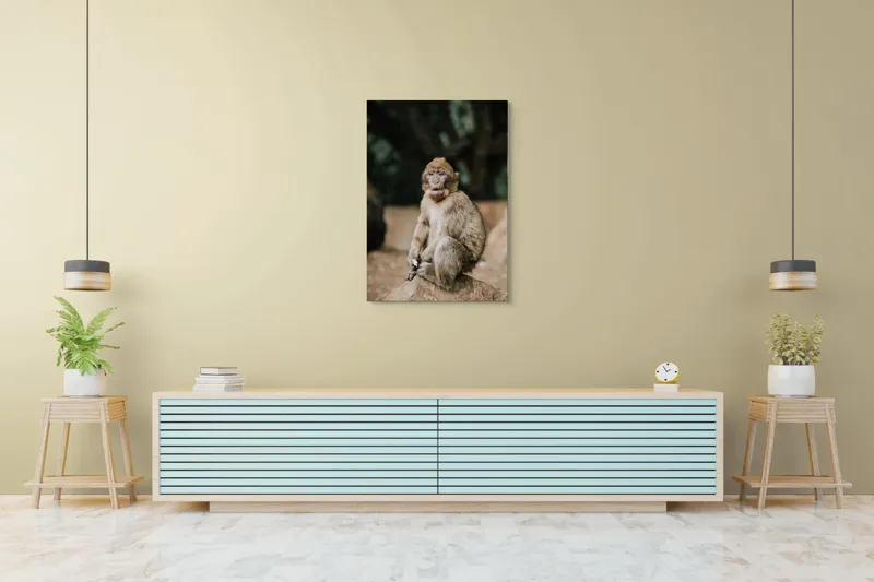 Tablou Canvas, "Maimuță pe stâncă în pădure", Nu pot să identific omul din imagine., 70 x 100 cm – poza 5