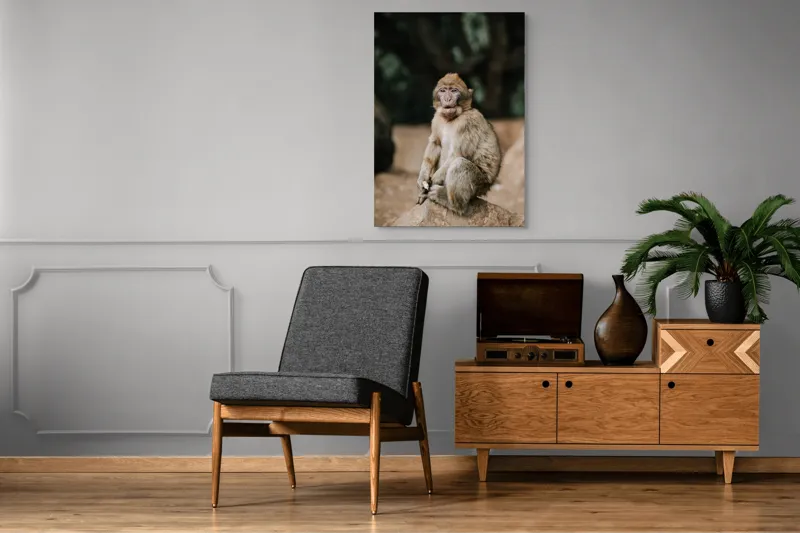 Tablou Canvas, "Maimuță pe stâncă în pădure", Nu pot să identific omul din imagine., 70 x 100 cm – poza 6