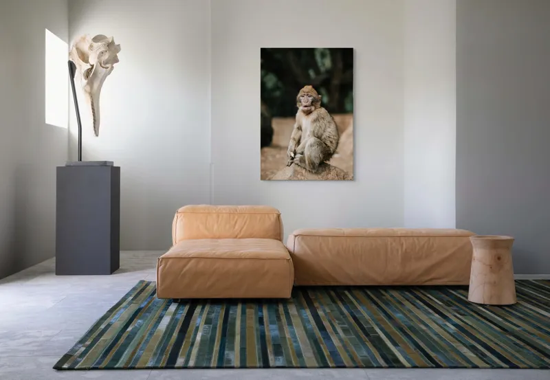 Tablou Canvas, "Maimuță pe stâncă în pădure", Nu pot să identific omul din imagine., 70 x 100 cm – poza 7