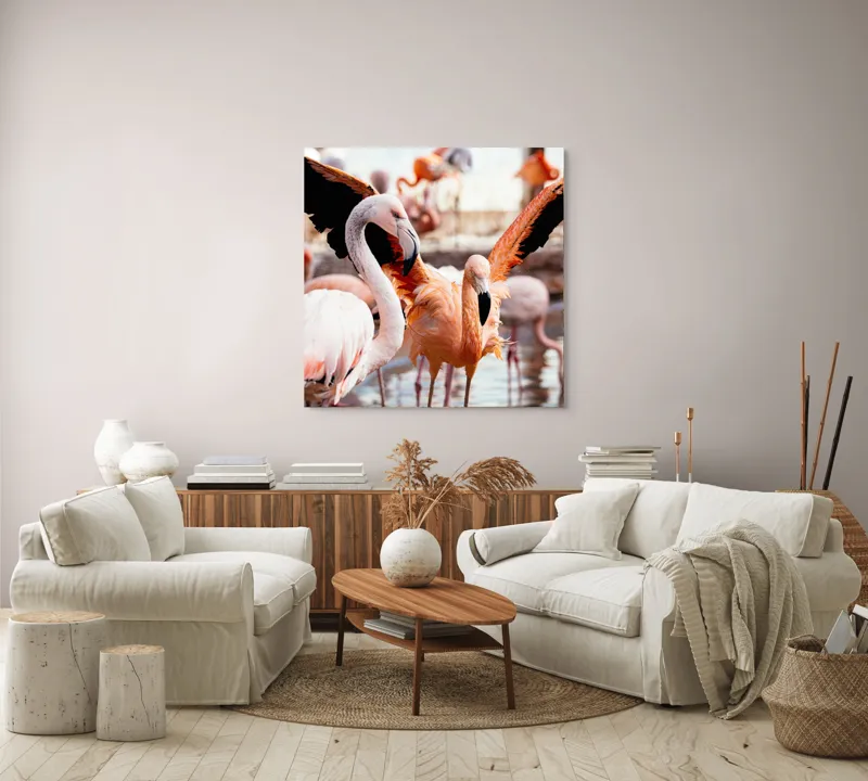 Tablou Canvas, "Flamingo gingaș în lumina apusului", Flamingo, Apă, Penaj, Roz, Grație, Reflecție, Grup, Lumină, Contrast, Natură, 100 x 100 cm – poza 3