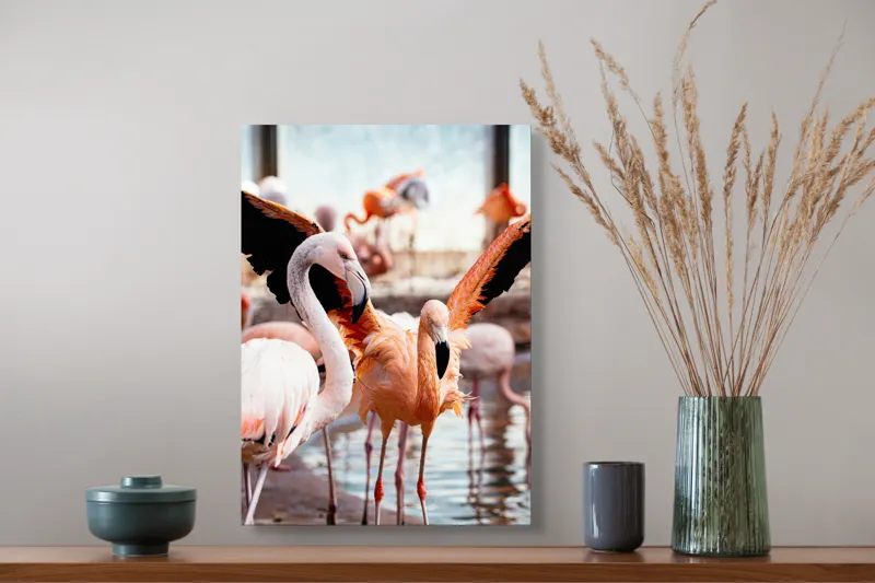 Tablou Canvas, "Flamingo gingaș în lumina apusului", Flamingo, Apă, Penaj, Roz, Grație, Reflecție, Grup, Lumină, Contrast, Natură, 39 x 54 cm – poza 3