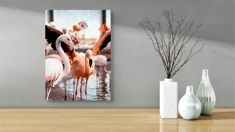Tablou Canvas, "Flamingo gingaș în lumina apusului", Flamingo, Apă, Penaj, Roz, Grație, Reflecție, Grup, Lumină, Contrast, Natură, 39 x 54 cm – poza 4