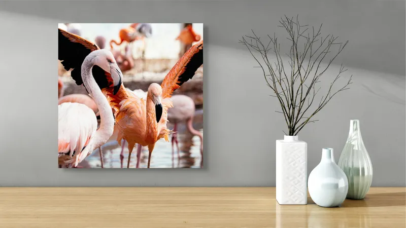 Tablou Canvas, "Flamingo gingaș în lumina apusului", Flamingo, Apă, Penaj, Roz, Grație, Reflecție, Grup, Lumină, Contrast, Natură, 50 x 50 cm – poza 3