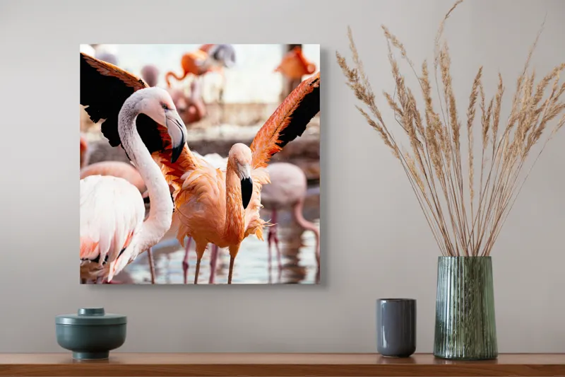 Tablou Canvas, "Flamingo gingaș în lumina apusului", Flamingo, Apă, Penaj, Roz, Grație, Reflecție, Grup, Lumină, Contrast, Natură, 50 x 50 cm – poza 4