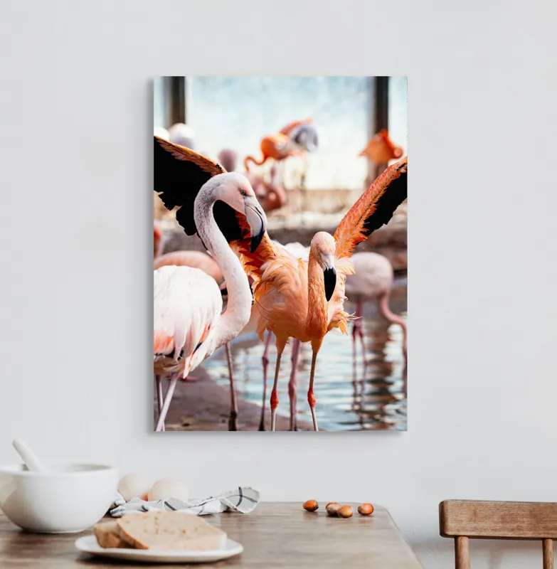 Tablou Canvas, "Flamingo gingaș în lumina apusului", Flamingo, Apă, Penaj, Roz, Grație, Reflecție, Grup, Lumină, Contrast, Natură, 50 x 70 cm – poza 3
