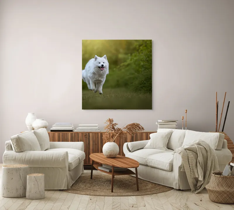 Tablou Canvas, "Bucuria alergării de dimineață", Zburdă, Pădure, Blană, Fericire, Căprioară, Verdeață, Primăvară, Viteza, 100 x 100 cm – poza 3