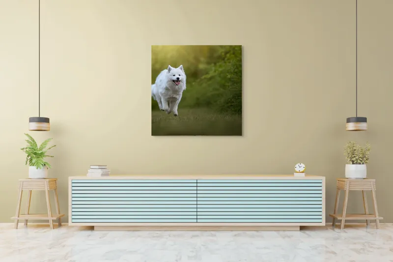 Tablou Canvas, "Bucuria alergării de dimineață", Zburdă, Pădure, Blană, Fericire, Căprioară, Verdeață, Primăvară, Viteza, 100 x 100 cm – poza 5