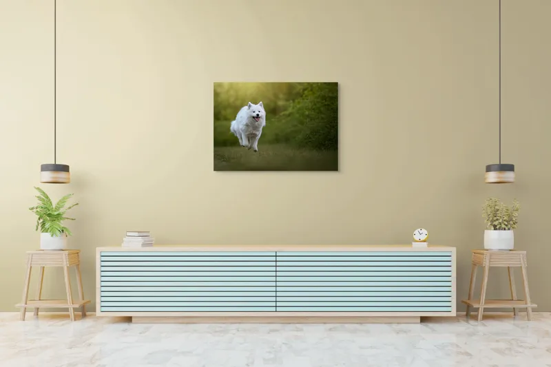 Tablou Canvas, "Bucuria alergării de dimineață", Zburdă, Pădure, Blană, Fericire, Căprioară, Verdeață, Primăvară, Viteza, 100 x 70 cm – poza 4