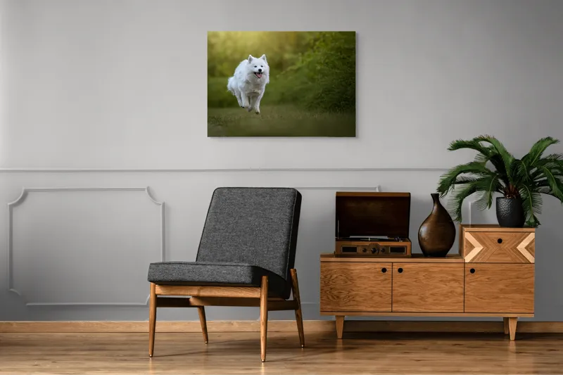 Tablou Canvas, "Bucuria alergării de dimineață", Zburdă, Pădure, Blană, Fericire, Căprioară, Verdeață, Primăvară, Viteza, 100 x 70 cm – poza 8