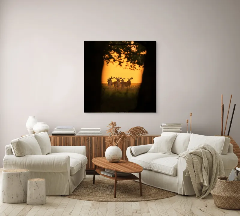 Tablou Canvas, "Cerbi în lumina apusului aurit", Cer, Cerbi, Apus, Siluetă, Natură, Lumină, Copaci, 100 x 100 cm – poza 3