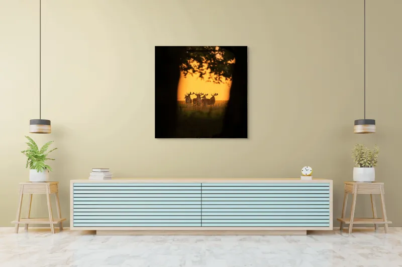 Tablou Canvas, "Cerbi în lumina apusului aurit", Cer, Cerbi, Apus, Siluetă, Natură, Lumină, Copaci, 100 x 100 cm – poza 5