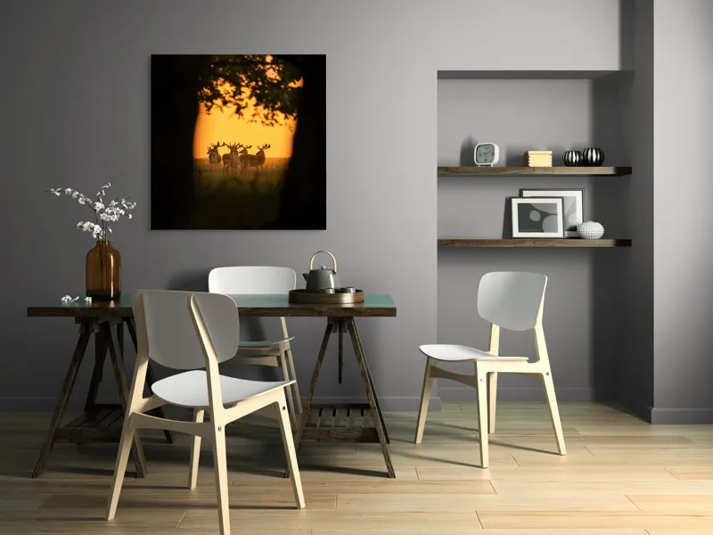 Tablou Canvas, "Cerbi în lumina apusului aurit", Cer, Cerbi, Apus, Siluetă, Natură, Lumină, Copaci, 100 x 100 cm – poza 6