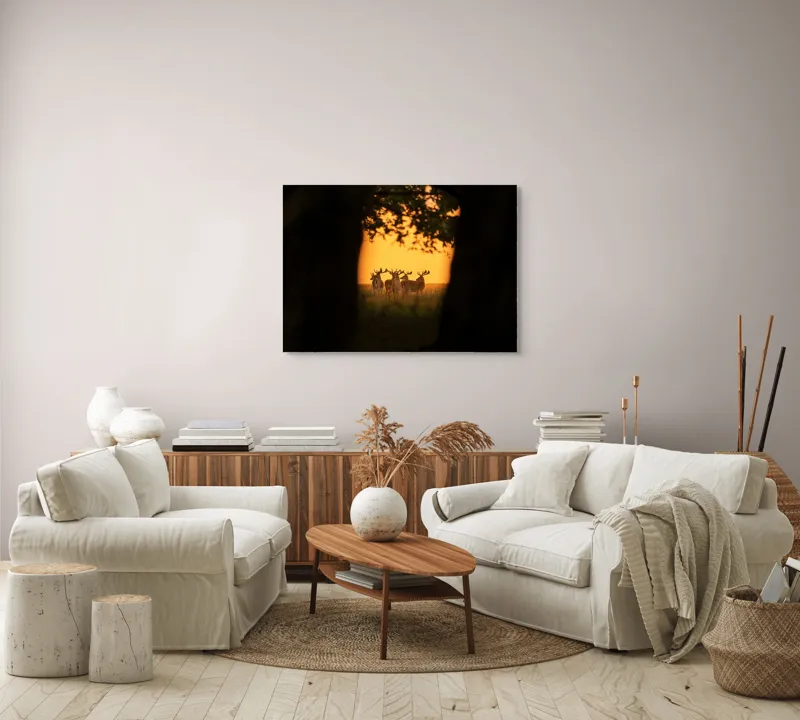 Tablou Canvas, "Cerbi în lumina apusului aurit", Cer, Cerbi, Apus, Siluetă, Natură, Lumină, Copaci, 100 x 70 cm – poza 3