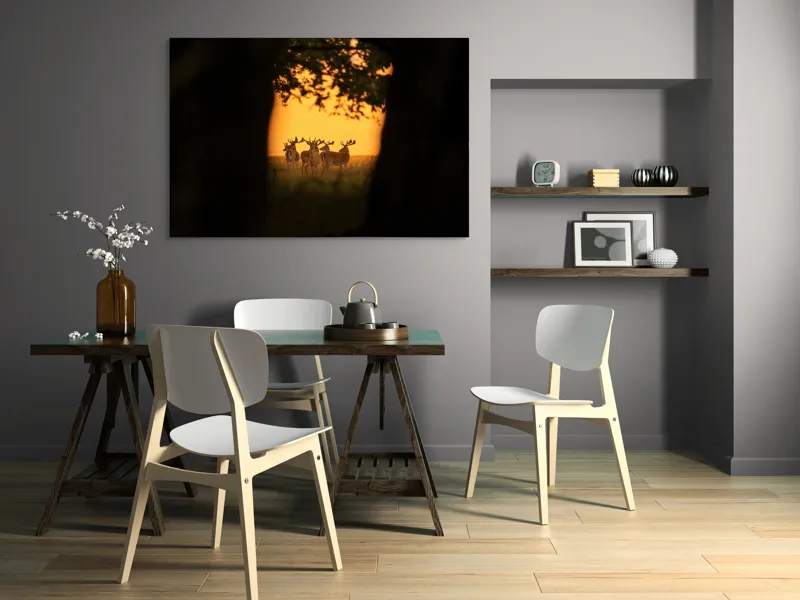 Tablou Canvas, "Cerbi în lumina apusului aurit", Cer, Cerbi, Apus, Siluetă, Natură, Lumină, Copaci, 150 x 100 cm – poza 5