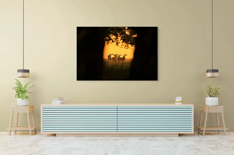 Tablou Canvas, "Cerbi în lumina apusului aurit", Cer, Cerbi, Apus, Siluetă, Natură, Lumină, Copaci, 150 x 100 cm – poza 6