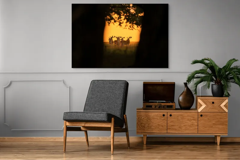 Tablou Canvas, "Cerbi în lumina apusului aurit", Cer, Cerbi, Apus, Siluetă, Natură, Lumină, Copaci, 150 x 100 cm – poza 8