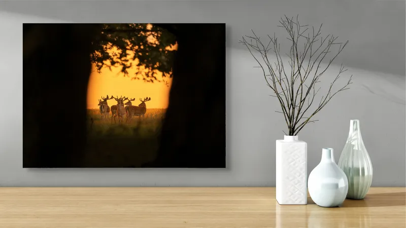 Tablou Canvas, "Cerbi în lumina apusului aurit", Cer, Cerbi, Apus, Siluetă, Natură, Lumină, Copaci, 70 x 50 cm – poza 3