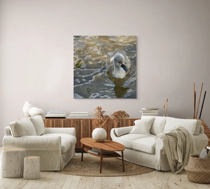 Tablou Canvas, "Pui de lebădă pe ape liniștite", Plutire, Răsfrângeri, Pufos, Boboc, Liniște, Apă, 100 x 100 cm – poza 3