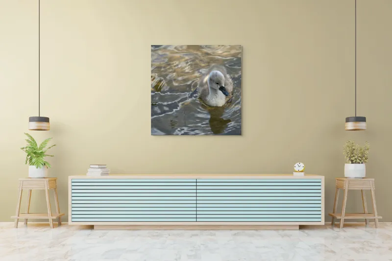 Tablou Canvas, "Pui de lebădă pe ape liniștite", Plutire, Răsfrângeri, Pufos, Boboc, Liniște, Apă, 100 x 100 cm – poza 5