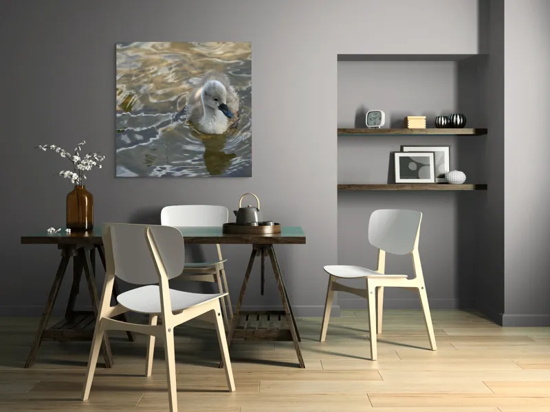 Tablou Canvas, "Pui de lebădă pe ape liniștite", Plutire, Răsfrângeri, Pufos, Boboc, Liniște, Apă, 100 x 100 cm – poza 6