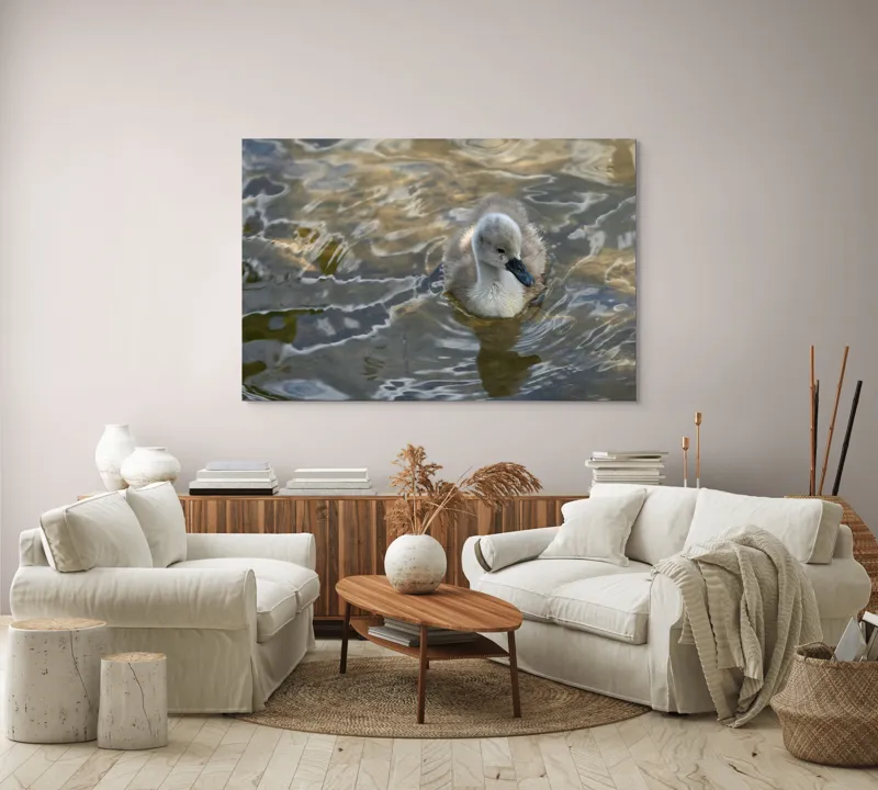 Tablou Canvas, "Pui de lebădă pe ape liniștite", Plutire, Răsfrângeri, Pufos, Boboc, Liniște, Apă, 150 x 100 cm – poza 3