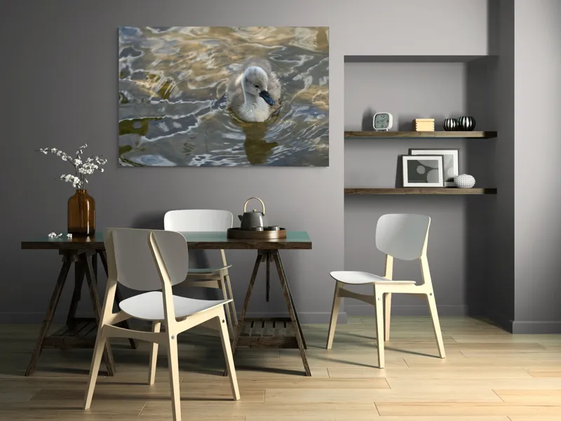 Tablou Canvas, "Pui de lebădă pe ape liniștite", Plutire, Răsfrângeri, Pufos, Boboc, Liniște, Apă, 150 x 100 cm – poza 5