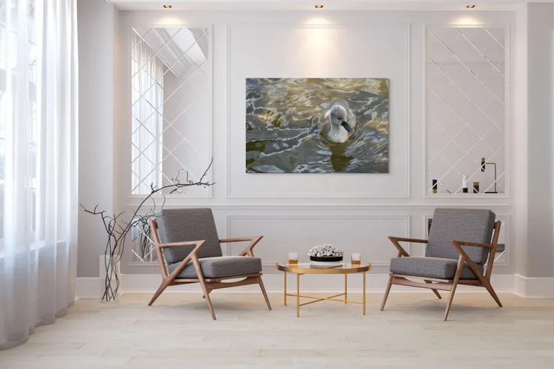 Tablou Canvas, "Pui de lebădă pe ape liniștite", Plutire, Răsfrângeri, Pufos, Boboc, Liniște, Apă, 150 x 100 cm – poza 7
