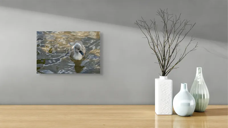 Tablou Canvas, "Pui de lebădă pe ape liniștite", Plutire, Răsfrângeri, Pufos, Boboc, Liniște, Apă, 39 x 26 cm – poza 8