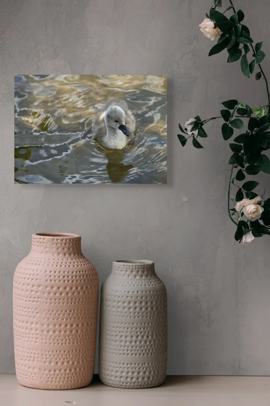Tablou Canvas, "Pui de lebădă pe ape liniștite", Plutire, Răsfrângeri, Pufos, Boboc, Liniște, Apă, 54 x 39 cm – poza 8