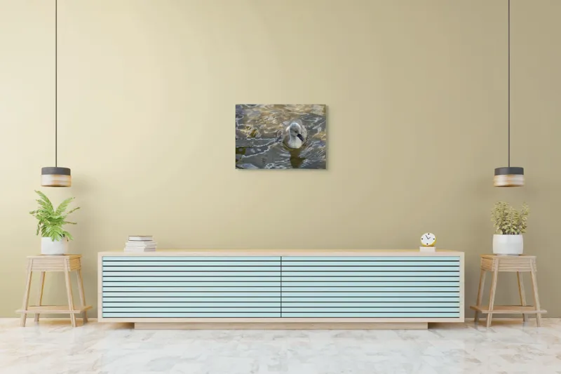 Tablou Canvas, "Pui de lebădă pe ape liniștite", Plutire, Răsfrângeri, Pufos, Boboc, Liniște, Apă, 70 x 50 cm – poza 7