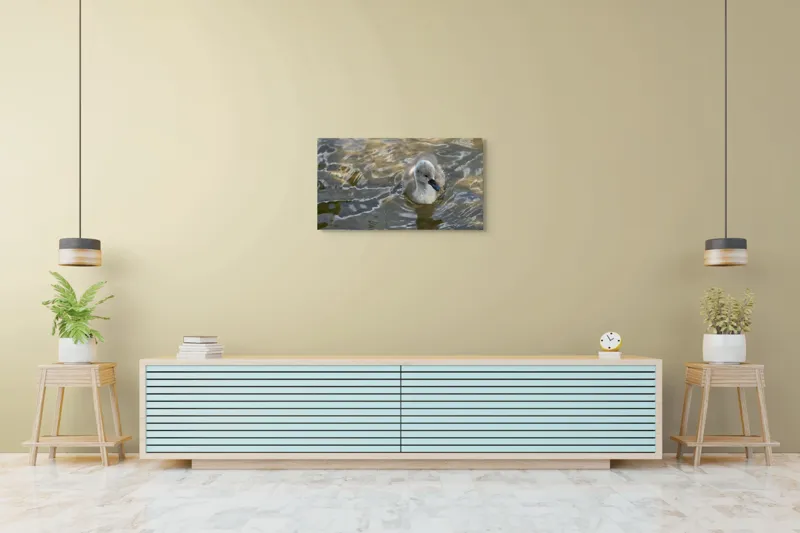 Tablou Canvas, "Pui de lebădă pe ape liniștite", Plutire, Răsfrângeri, Pufos, Boboc, Liniște, Apă, 90 x 50 cm – poza 5