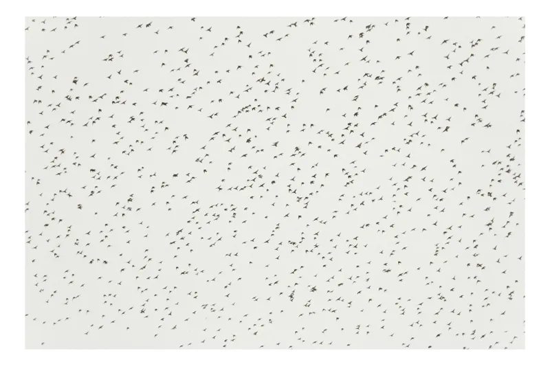 Tablou Canvas, "Dansul armonios al păsărilor în cer", Păsări, Cer, Zbor, Întindere, Grup, Mișcare, Natură, Libertate, 90 x 50 cm