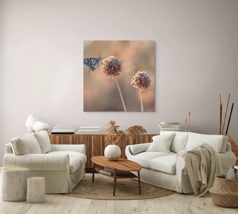 Tablou Canvas, "Fluture pe floare uscată în lumină", Fluture, Floare, Fragilitate, Natură, Delicatețe, Eteric, Lumină, Echilibru, 100 x 100 cm – poza 3