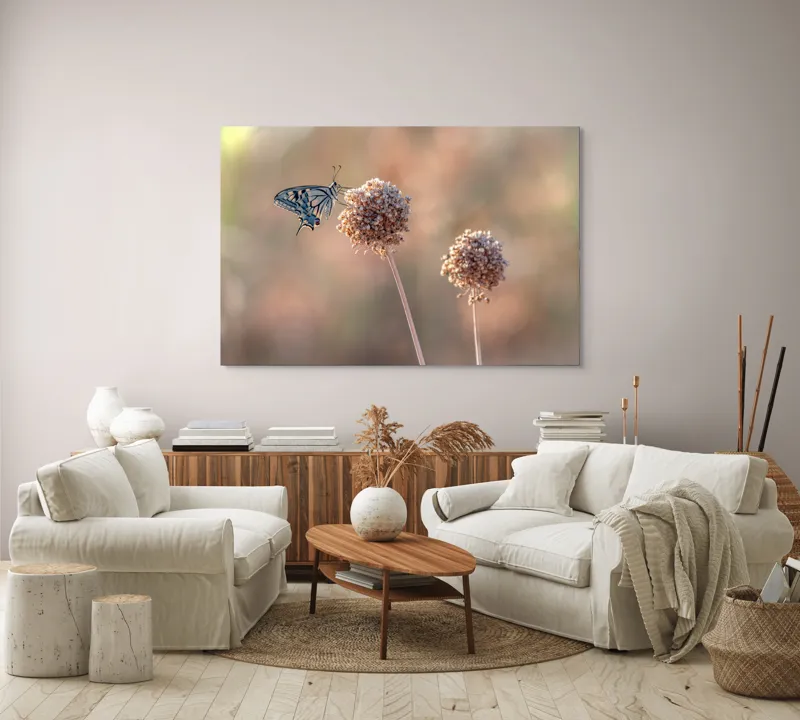 Tablou Canvas, "Fluture pe floare uscată în lumină", Fluture, Floare, Fragilitate, Natură, Delicatețe, Eteric, Lumină, Echilibru, 150 x 100 cm – poza 3