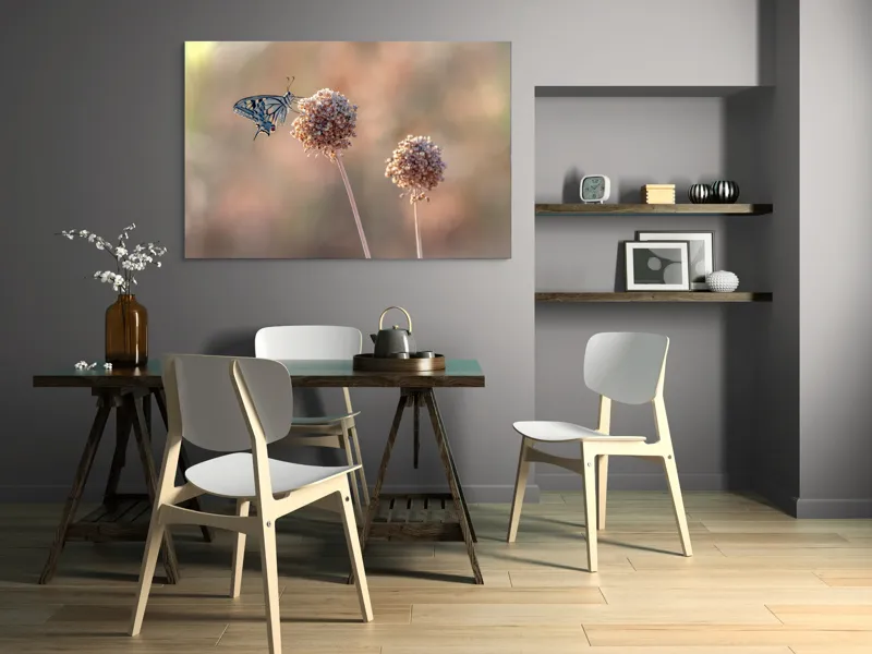 Tablou Canvas, "Fluture pe floare uscată în lumină", Fluture, Floare, Fragilitate, Natură, Delicatețe, Eteric, Lumină, Echilibru, 150 x 100 cm – poza 5
