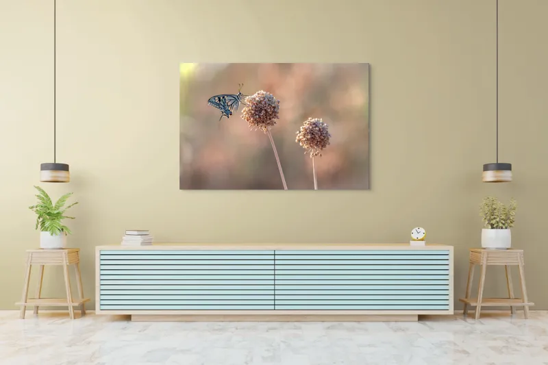 Tablou Canvas, "Fluture pe floare uscată în lumină", Fluture, Floare, Fragilitate, Natură, Delicatețe, Eteric, Lumină, Echilibru, 150 x 100 cm – poza 6