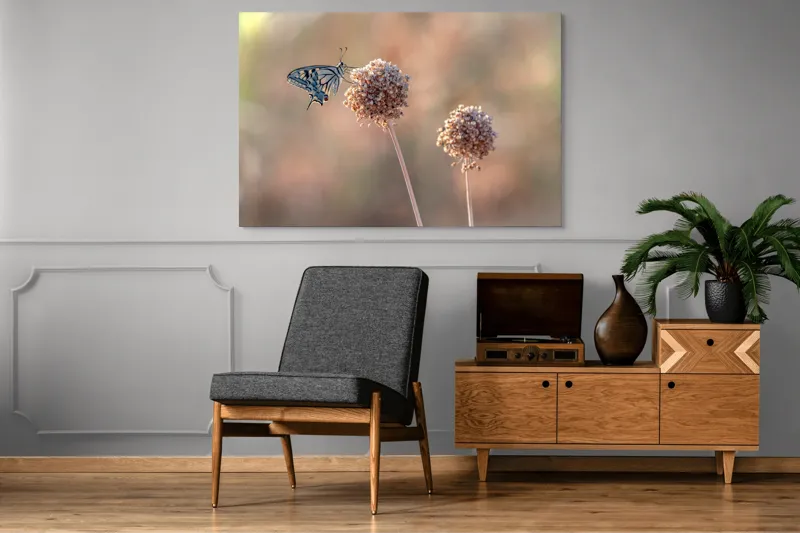 Tablou Canvas, "Fluture pe floare uscată în lumină", Fluture, Floare, Fragilitate, Natură, Delicatețe, Eteric, Lumină, Echilibru, 150 x 100 cm – poza 8