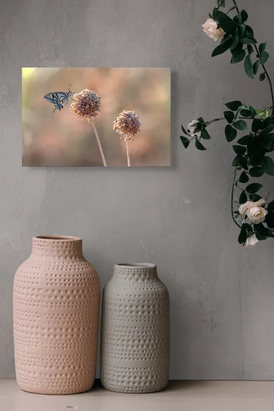 Tablou Canvas, "Fluture pe floare uscată în lumină", Fluture, Floare, Fragilitate, Natură, Delicatețe, Eteric, Lumină, Echilibru, 39 x 26 cm – poza 4